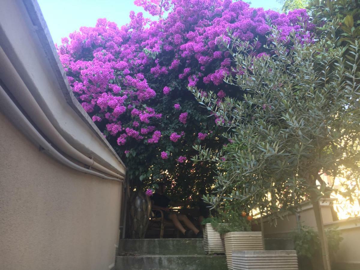 B&B La Bougainvillea 안드리아 외부 사진